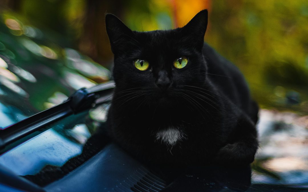 Desinforma, que «algo» queda