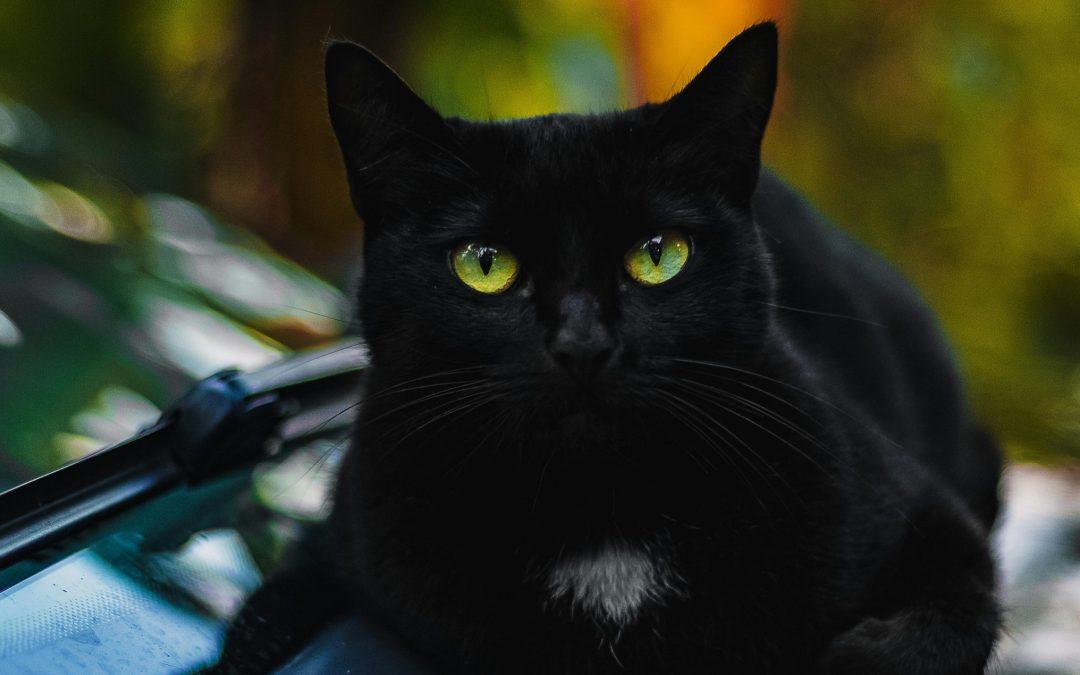 Desinforma, que “algo” queda